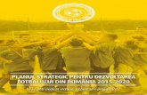 PLANUL STRATEGIC PENTRU DEZVOLTAREA FOTBALULUI DIN …razvanburleanu.ro/wp-content/uploads/2013/11/FRF... · Planul strategic pentru dezvoltarea fotbalului din România 2015-2020