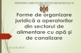Forme de organizare - ADR Nord...Forme de organizare juridică a operatorilor din sectorul AAC Potrivit art. 13 alin. (4) din Legea nr 303 din 13.12.2013, gestiunea delegată se realizează