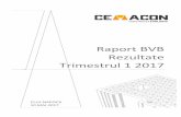 Raport BVB Rezultate Trimestrul 1 2017...Page 2 of 10 Contul de profit si pierdere – Rezultate 31 Martie 2017 In primul trimestru al anului 2017 compania si-a imbunatatit performanta