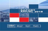 RAPORT ANUAL 2018 - teraplast.ro · creștere de 91% a cifrei de afaceri și de 55% a EBITDA. Ne-am consolidat poziția pe piața din regiune, devenind un exportator important în