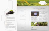 sauvignon-ro · 3/11/2018  · al vinului si om de afaæri, a decis WineRo Crama S.R.L. email: sales@alira.ro Schimbe fara vinului românesc si terenurile de la ALTMAN , pri n dezvoltarea