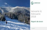 Ianuarie & februarie 2019 - Carpathia · conflictele om-animale salbatice, garduri electrice, compensatii private pentru eventuale daune cauzate de fauna) •Dezvoltarea unei economii