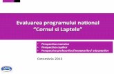 Evaluarea programului national - Retail-FMCG.ro · PDF file 2013-11-26 · Lapte, nu stiu daca pasteurizat/ UHT Lapte UHT Iaurt Branza topita Lapte batut Sana Laptele este principalul