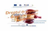 Conf.univ.dr.OLTEANU CameliaNicoleta · 2019-10-09 · dreptul de proprietate privată asupra terenurilor numai în condiţiile rezultate din aderarea României la Uniunea Europeană