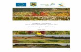 Strategia de Vizitare pentru Situl de Importanţă … de Vizitare MM.pdfStrategia de vizitare a sitului Natura 2000 Muntele Mare 5 Reprezentătivitate: bună la nivelul sitului. Suprafață