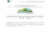 STRATEGIA DE DEZVOLTARE LOCALhome.valeasiretuluidesus.ro/wp-content/uploads/2017/02/SDL-2014-2020... · în luna august 2010, la iniţiativa a 9 unit ţi administrativ-teritoriale