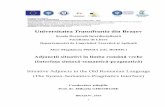 Universitatea Transilvania din Brașovold.unitbv.ro/Portals/31/Sustineri de doctorat... · CONTEXTUL LIMBILOR ROMANICE – DOVEZI DIN DOMENIUL MORFOSINTAXEI Observații preliminare