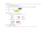 mgsii.files.wordpress.com · Web viewO sintetaza foloseste hidroliza ATP pentru a atasa un aminoacid tARN-ului specific Initierea si translocatia Initierea se produce cand un mARN