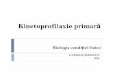 Kinetoprofilaxie primarăŞtiinţa antrenamentului medical“SAM” Huber P. (Germania, 1993) “bazele teoretice pentru o indicaţie corectă în probleme ale performanţei fizice