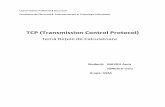 TCP (Transmission Control Protocol)stst.elia.pub.ro/news/rc/teme_rc_iva_2012_13/2_mavruan_ionesculi_tcp.pdf · PDF file Necesitatea oamenilor de pretutindeni de a comunica a dus la