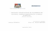 METODE ASIMPTOTICE S˘I NUMERICE ^IN STUDIUL ARIPII …fmi.unibuc.ro/ro/pdf/2016/doctorat/rezumatSTOICA.pdf · 2016-08-30 · dec^at aripile planare, cu alte cuvinte la anverguri