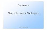 Capitolul 4 Fisiere de date si Tablespaceandrei.clubcisco.ro/cursuri/f/f-sym/4ubd/cursuri/2012/U4-slides.pdfbazelor de date, anul IV C5. 3 Tablespace O baza de date contine (unul sau)