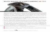 MUZEUL NAȚIONAL DE ISTORIE A ROMÂNIEI. DIN 1972mnir.ro/file/2017/09/flyer_RO-EN_MNIR.pdf · una dintre instituţiile reprezentative ale culturii româneşti. Muzeul este ... ce