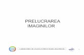 PRELUCRAREA IMAGINILORalpha.imag.pub.ro/ro/cursuri/archive/01.pdf · 2018-11-14 · LABORATORUL DE ANALIZA SI PRELUCRAREA IMAGINILOR 4 Definire Image processing is any form of signal