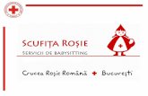 Prezentare servicii Scufita Rosie pentru companiiscufitarosie.org/cms/wp-content/...Scufita-Rosie... · Sumar ofertă 1. Nevoia companiei: să ofere work –life balance, să creeze