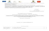 New Document - SIVECO Romania · Web viewOfertantul (grupul de operatori economici/asocierea) trebuie să prezinte documente/contracte/procese verbale sau declaratii de receptie/scrisori
