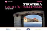 STRATEGIA 2016–2025Domeniul de intervenție 3.1 – Realizarea bazelor de date detaliate ale castelelor din Transilvania 94 Domeniul de intervenție 3.2: Implementarea de acțiuni
