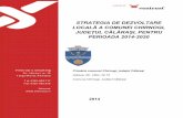 STRATEGIA DE DEZVOLTARE - Comuna Chirnogi · 2017-03-10 · Tabel 1- Lista programelor de finanțare Tabel 2 - Organizarea administrativ teritorială a regiunii Sud Muntenia, la 31