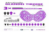 infogragic Tiroida APAA 2019Afecțiunile GLANDEI TIROIDE + în cifre 3+ 11+ 2010, 35.439 noi cazuri În România, numărul noilor cazuri de boli tiroidiene s-a triplat între 2010