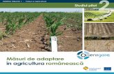 Măsuri de adaptare în agricultura româneascăorientgateproject.rec.org/uploads/leaflet/2PilotStudyROM.pdf · soiuri de grâu de toamnă vor fi cele cu cerin ţe ridicate sau moderate