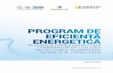 PROGRAM DE EFICIENŢĂ ENERGETICĂ · de a se face schimb de cunoștinţe despre economiile de energie din sectorul gospodăririi apelor și despre consolidarea capacităţii directorilor