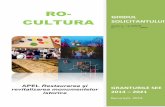 RO- solicitantului_actualizat 12... · Programul se concentrează pe rolul pe care cultura și patrimoniul cultural îl joacă în dezvoltarea locală și regională, cu accent pe