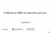 Utilizarea SRR al clauzelor precisesoftware.ucv.ro/~cbadica/ai/cap4.pdfexistenta sau absenta fluxului de curent dinspre exterior prin conexiuni spre componentele sistemului. 2017 Axiomatizarea