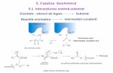 5. Cataliza biochimic · Structura I ~ Structura T# Stabilizarea T# Lizozimul Carboxanioni intermediari ~ T# Protein structure and Function, Petsko & ... - analiza chimica ... Hexokinaza