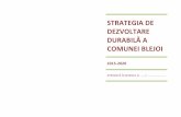 STRATEGIA DE DEZVOLTARE DURABILĂ A COMUNEI BLEJOI 68 Anexa.pdf · 2016-10-16 · Metodologia procesului de planificare strategică Procesul de planificare strategică este un demers