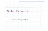 Webul Semantic - Cursuri Automatica si Calculatoareandrei.clubcisco.ro/cursuri/4ioc/4-semantic.web.pdf · Webul semantic Urm ătoarea genera ție a WWW (Tim Berners-Lee) Utilizat