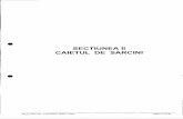 SECTIUNEA II CAIETUL DE SARCINI - CONPET SA dec/3/Caiet de sarcini.pdfgrija dirigintelui de santier; e. Receptia Lucrarilor se va efectua in conformitate cu Regulamentul de receptie