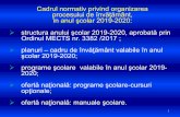 Cadrul normativ privind organizarea procesului de ...fizicadj.ro/wp-content/uploads/2019/10/Consfatuiri_judetene_2019-organ... · Suplimentar, clasele din învăţământul primar