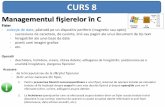 CURS 8 - Facultatea de Fizicavchis/cursuri/info/c08ppt.pdfCURS 8 Managementul fişierelor în C Fisier - colecţie de date, păstrată pe un dispozitiv periferic (magnetic sau optic)