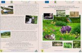 Full page photo - parcrodna.ro specii si habitate.pdf · cât si cu comunitäti de pajisti alpine sau cu Fânete montane (6520) Acest tip de habitat este reprezentat Parcului National