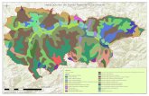 Harta solurilor din Parcul National Muntii Rodnei ararnur ... solurilor din PNMR.pdfSoluri brune acide criptospodice (sub pajisti subalpine) si podzoluri (inclusiv pseudogleizate),