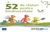 52 de sfaturi pentru biodiversitate - cbde.rocbde.ro/wp-content/uploads/2013/04/52-de-sfaturi-pentru-biodiversitate.pdf · COMISIA EUROPEANĂ DIRECŢIA-GENERALĂ PENTRU MEDIU de sfaturi