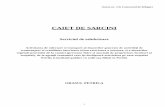 CAIET DE SARCINI - orasulpetrila.ro · (2) Prezentul caiet de sarcini a fost elaborat spre a servi drept documentație tehnica si de referința in vederea stabilirii condițiilor