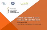 MONICA DRĂGAN - Fonduri Patrimoniu...Valoarea maximă a finanțării nerambursabile organizații de drept public – max 100% din costurile eligibile organizații de drept privat