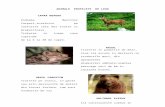ANIMALE PROTEJATE DE LEGE - WordPress.com · Web viewPrin frunzele sale ternat multipartite, cu segmente îngust liniare, late de 1—5 mm (foliolele laciniate se asemănă cu cele