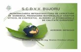 Proiect capacitati - Contract 103 din 14.09.2007 - limba ...scdvvbujoru.ro/proiect_capacitati_ro.pdf · a rezultatelor de cercetare, dezvoltare si inovare (CDI ). Cresterea calitătii