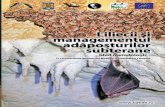 Liliecii şi managementul - Guvernul Romaniei...3 Ghid metodologic Introducere În prezent, cu cele aproximativ 1.200 de specii descrise, ordinul liliecilor (Chiroptera) este unul