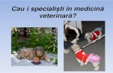 Cauţi specialişti în medicină veterinară?fmvb.ro/english/images/pdf/prezentare-clinica-10-mai... · 2016-07-04 · Programul Clinicii este NON-STOP, cu garda de 24 de ore! Poţi