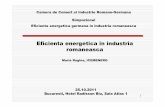 Eficientaenergeticain industria romaneasca...Evolutia economiei Romaniei dupa anul 2000 se caracterizeaza prin doua perioade distincte: perioada 2000-2008 de dezvoltare economica si