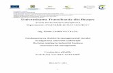 -DD Universit Universitatea Transilvania din Braşovold.unitbv.ro/Portals/31/Sustineri de doctorat/Rezumate/OlteanuFlorin.pdf · pragului de rentabilitate, în cazul societăţilor