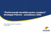 “Performanţă durabilă pentru creştere”media.hotnews.ro/media_server1/document-2012-06-19... · Prezentul document nu pretinde că include toate informaţiile necesare cu privire