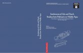Settlements of Life and Death. Settlements of Life and ... - Baneasa.pdf · Settlements of Life and Death. Studies from Prehistory to Middle Ages, Cluj-Napoca, 2016, 273-312 FUNERAL
