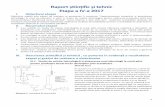 Facultatea de Chimie si Inginerie Chimica, Cluj …chem.ubbcluj.ro/~irimie/Raport2_ 2017.pdf4 cu solutie de p-anisaldehida sau molibdat de ceriu si amoniu). Dupa finalizarea reactiei,