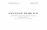 F 1 N14 Finante Publice Busu Cristian - UCDC · Introducere Finan ţele publice au cunoscut, în func ţie de perioadele istorice, diverse abord ări la nivelul puterii politice,