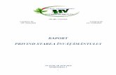 RAPORTlthv.ro/files/Raport sem I 2019.pdf · 2019-03-19 · de M.E.N. pentru anul școlar 2018 - 2019, ... Comerț Comerciant vânzător IX A p 1 29 Mecanică Mecanic agricol IX B