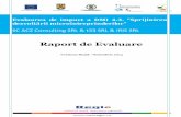 Raport de Evaluare - regioadrbi.ro Evaluarea de Impact a DMI 4.3... · Prezentul Raport de Evaluare ilustrează rezultatele evaluării de impact a Domeniului Major de Intervenţie